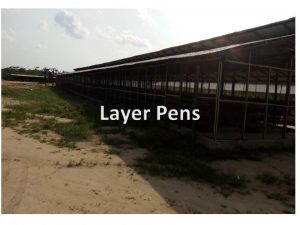 Farmlands